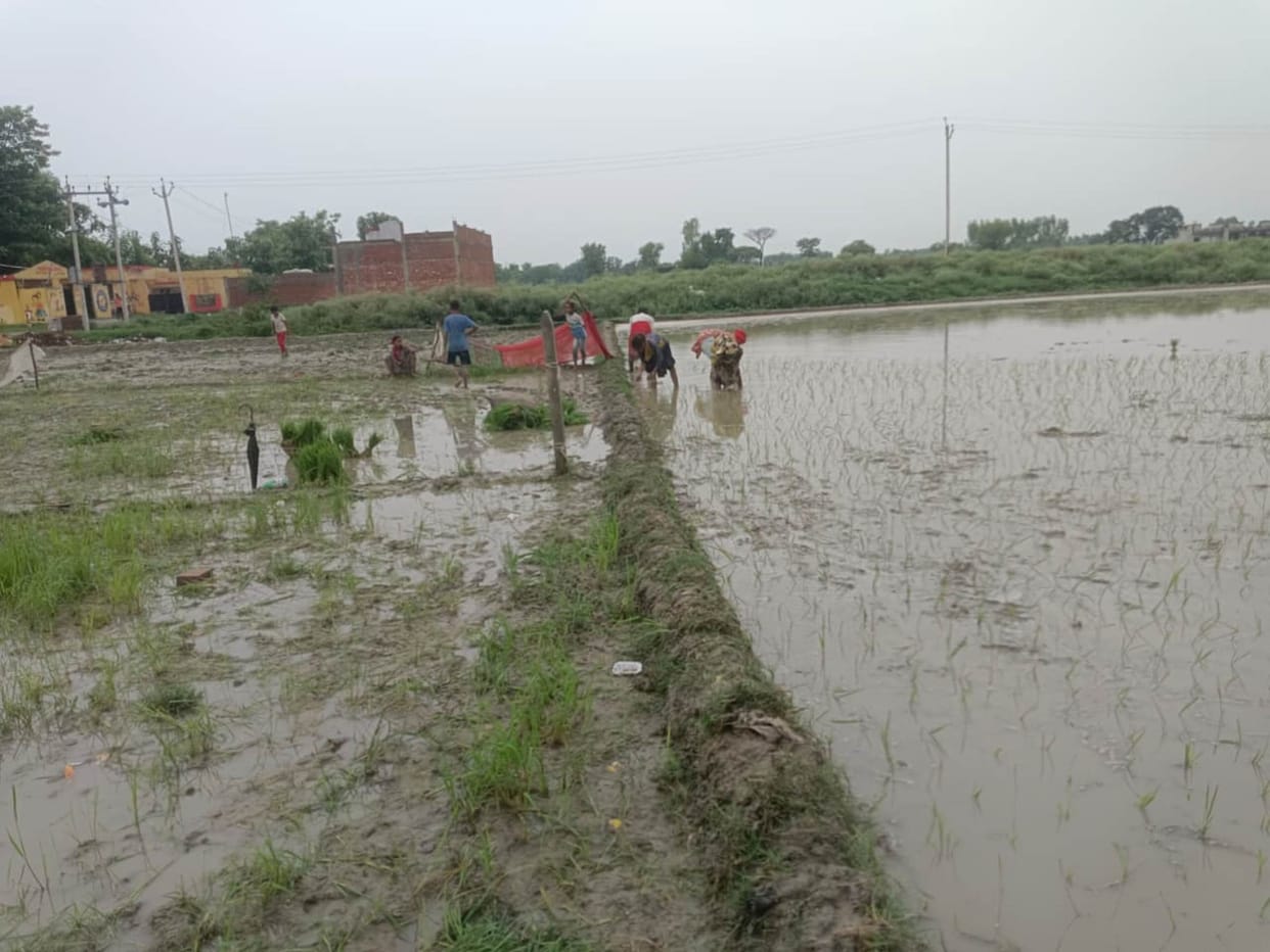 The clouds have been kind; farming and agriculture are flourishing.