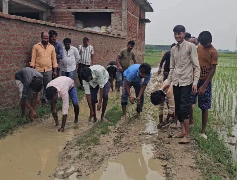 When the dilapidated road was not repaired, villagers planted paddy on it.