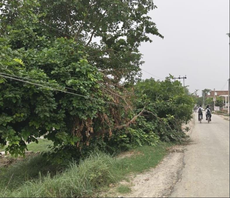 Before catching a glimpse of Mahadev, devotees will encounter waterlogging, dilapidated roads, and dangling power lines.