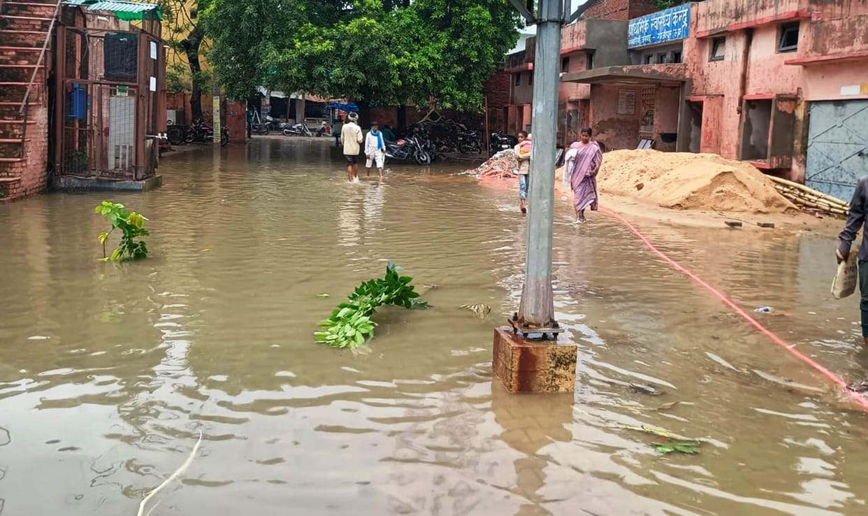Rain brings relief from the heat; paddy transplantation gains momentum.
