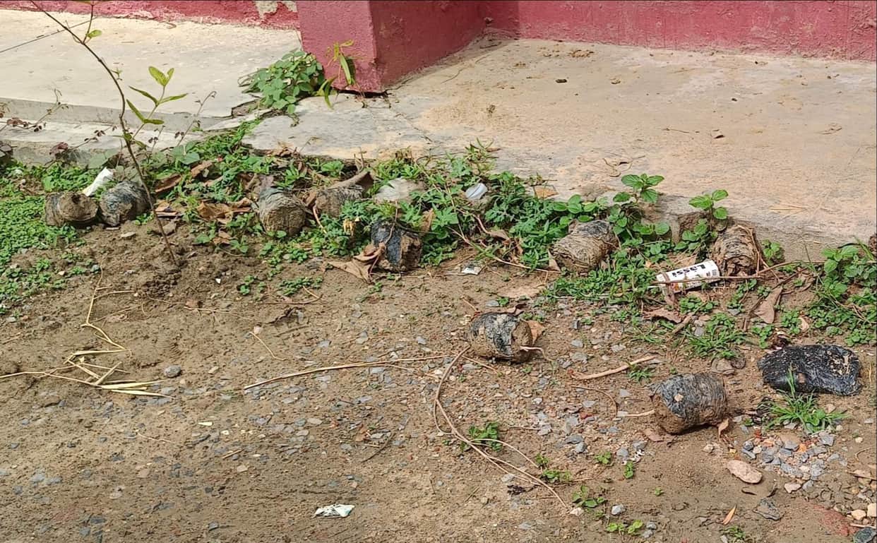 Half of the saplings planted in 2022 have withered; the pits were leveled to conceal the evidence.