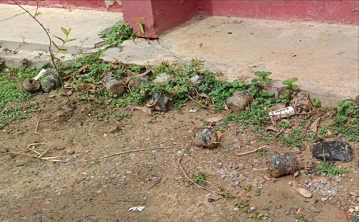 Chandauli News: 2022 में लगाए गए आधे पौधे सूखे, पहचान छिपाने के लिए गड्ढों को कर दिया गया समतल