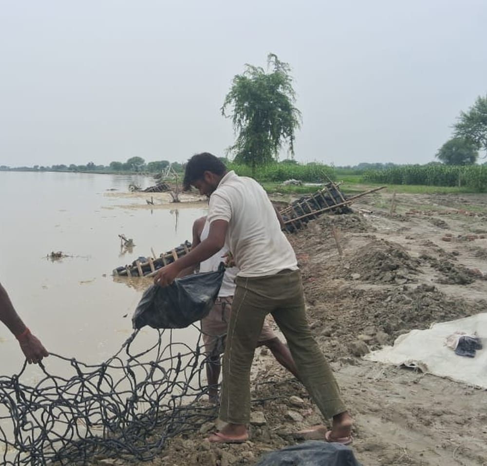 Erosion intensifies as water levels recede; 300 bighas of farmland swallowed by the river
