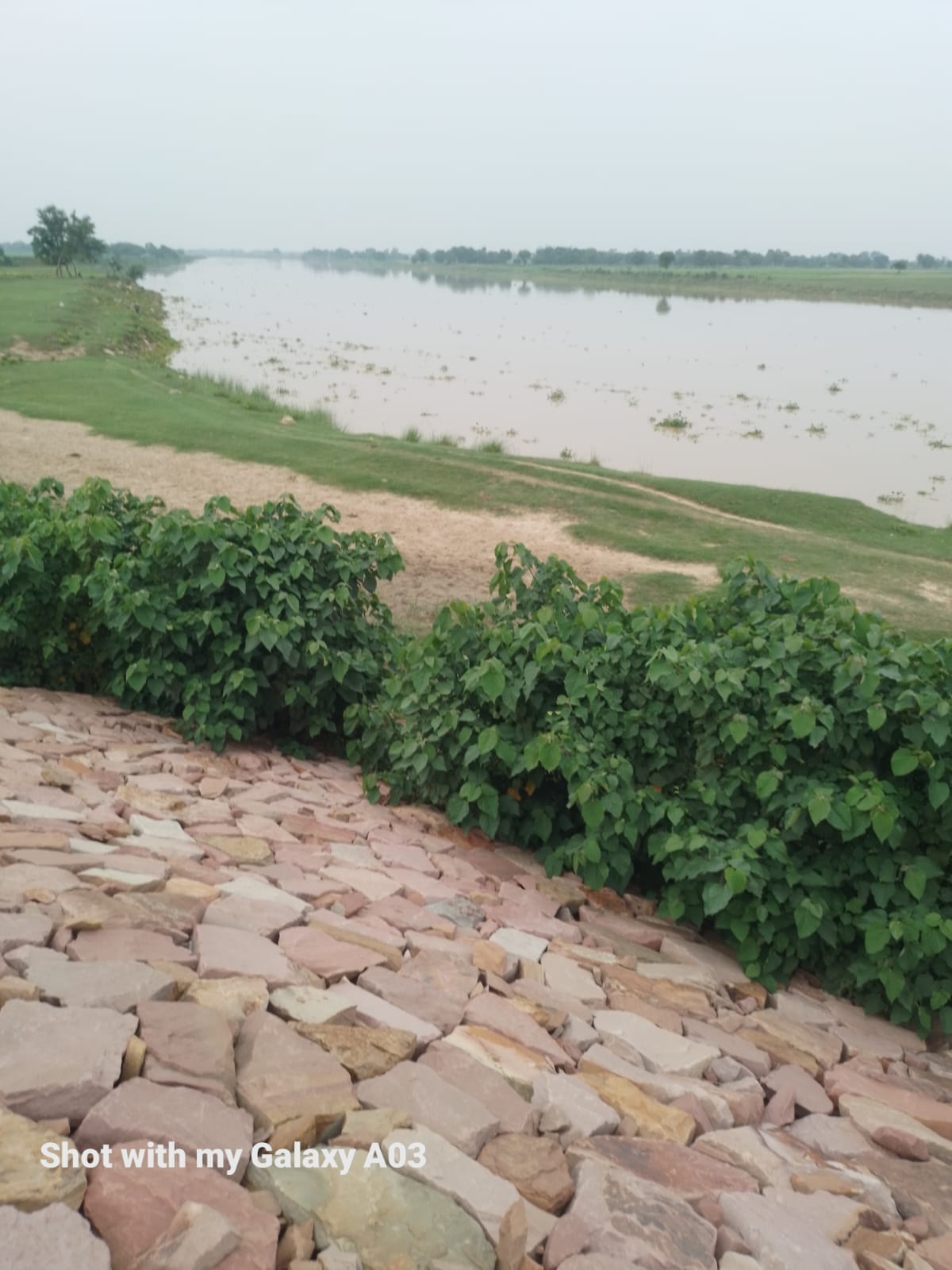 Saryu rises by 20 cm; work on filling the Rain-cut is slow.