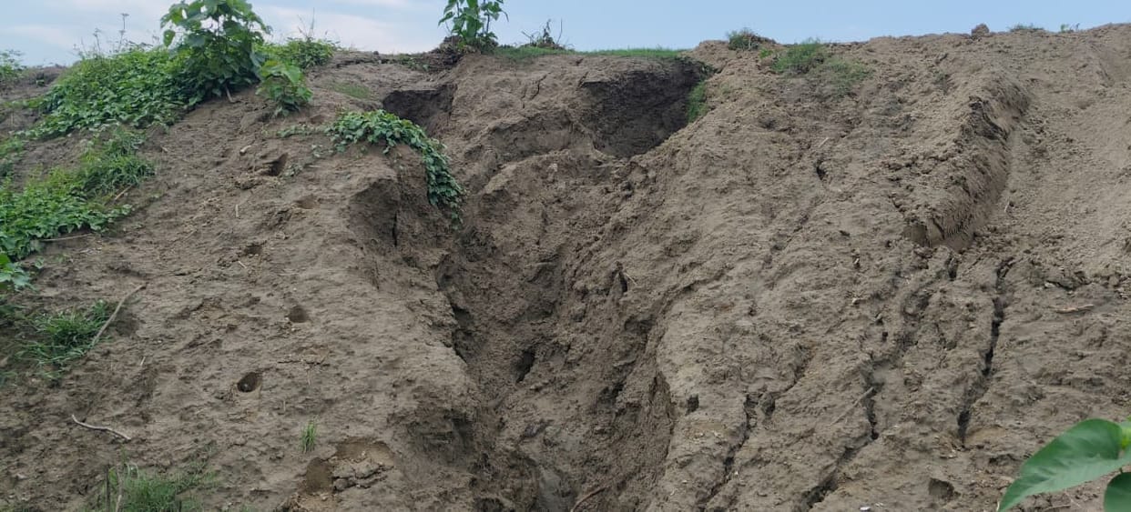 Officials are filling rain-cuts in the Narayani embankment using soil excavated from the dam itself.
