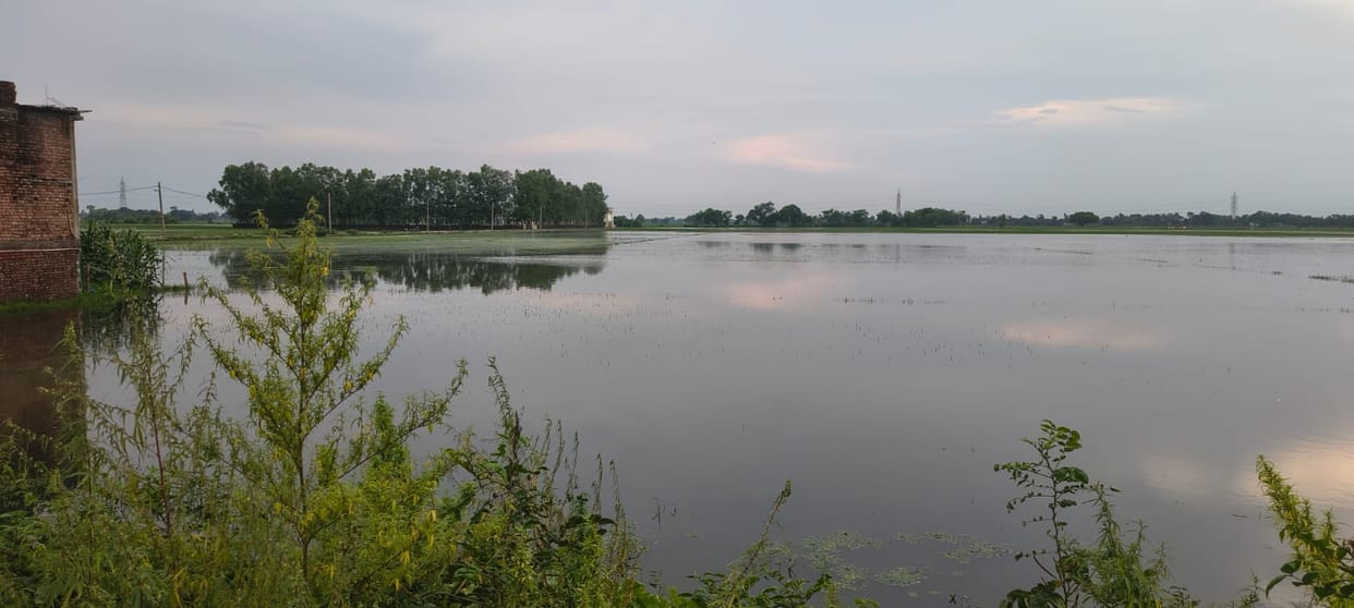 Water flow path cleared by removing encroachments; 50 acres of crops saved.