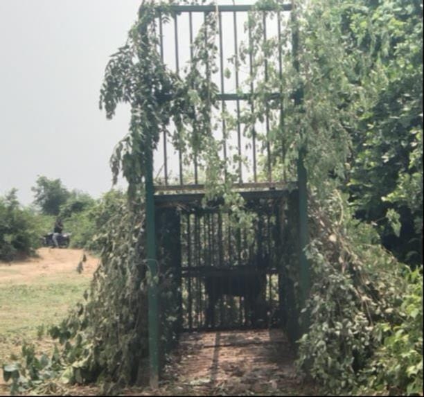 Tiger terror persists; command center active; cage set up in Rasulwa.