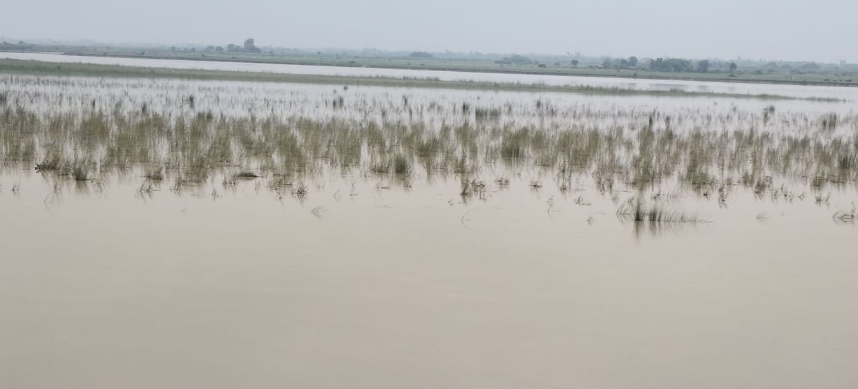 Over a dozen villages hit by riverbank erosion; crops submerged