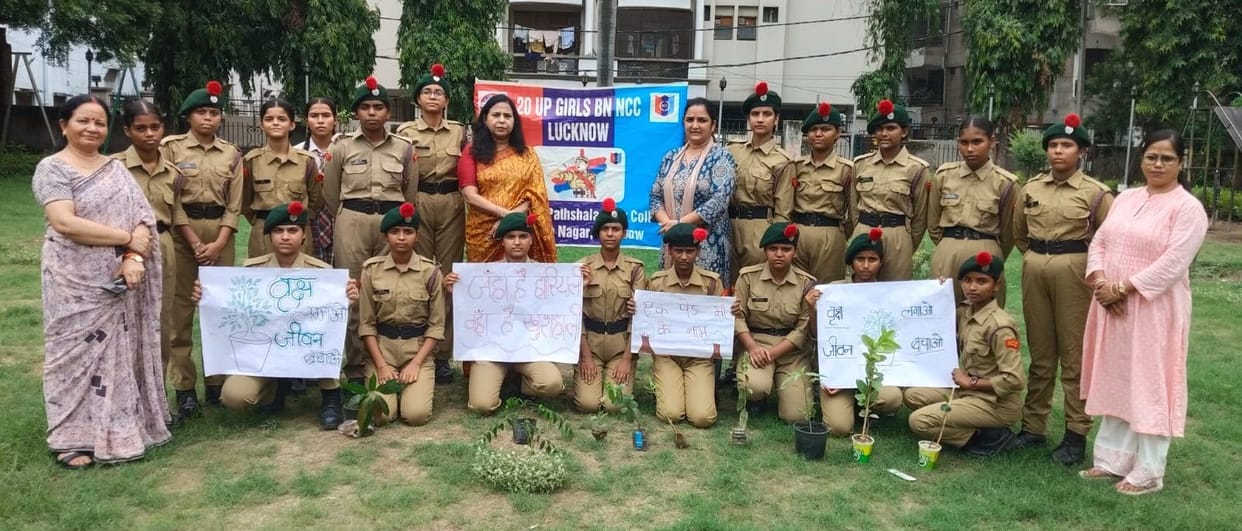 Teachers and children planted saplings.