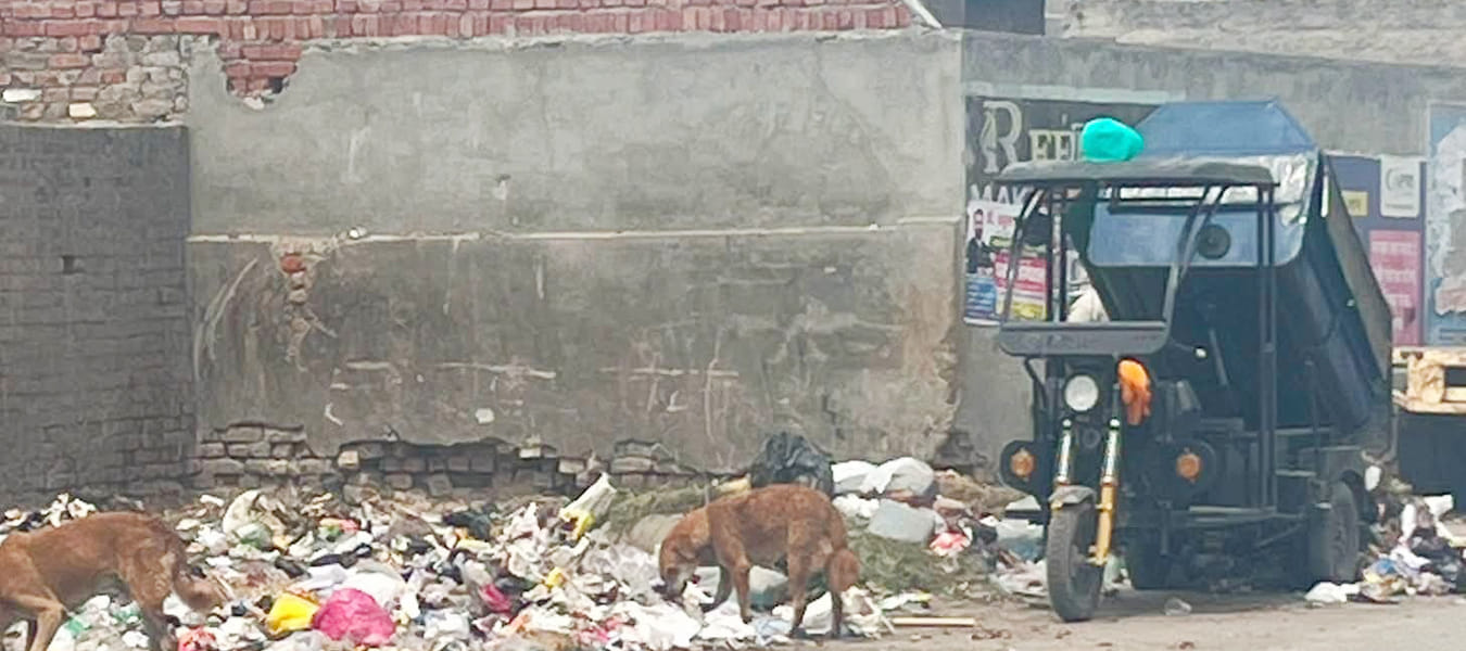 भाटिया नगर रोड पर गंदगी गिराते नप गाड़ी का सोशल मीडिया पर वायरल फोटो