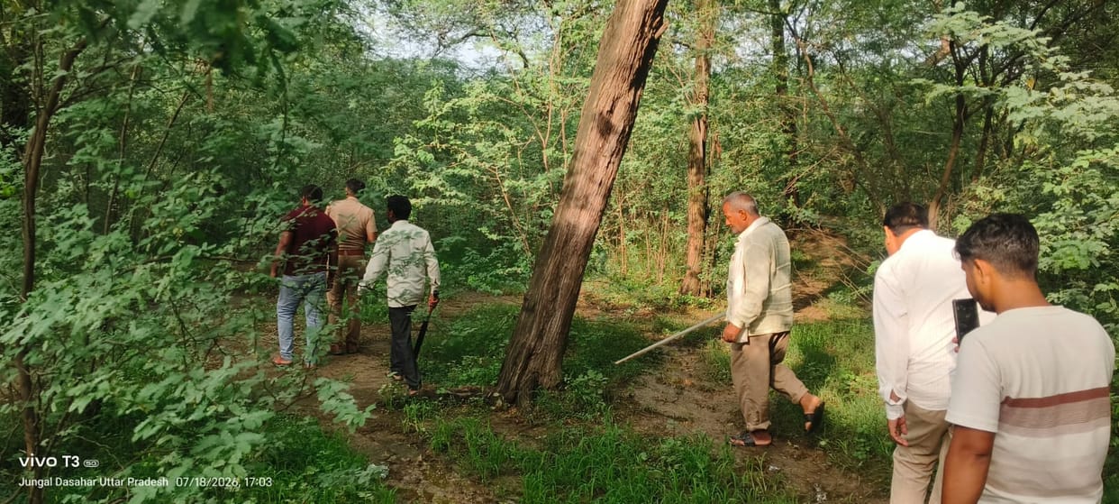 No trace of the leopard found even on the third day; search intensified.