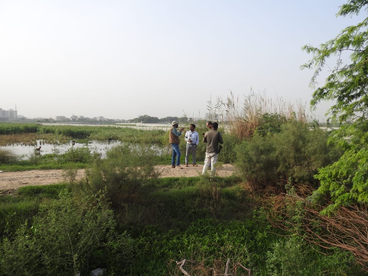 GMRL is conducting an integrated biodiversity study of the Basai bird area.