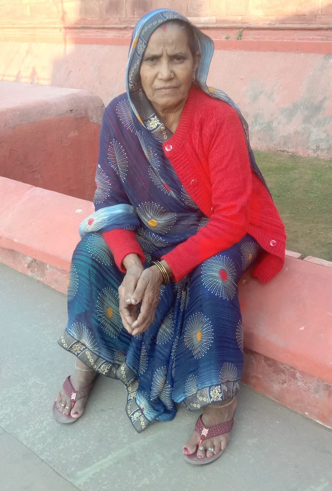 फोटो - 02 मृतक सूरजमुखी की फाइल फोटो।