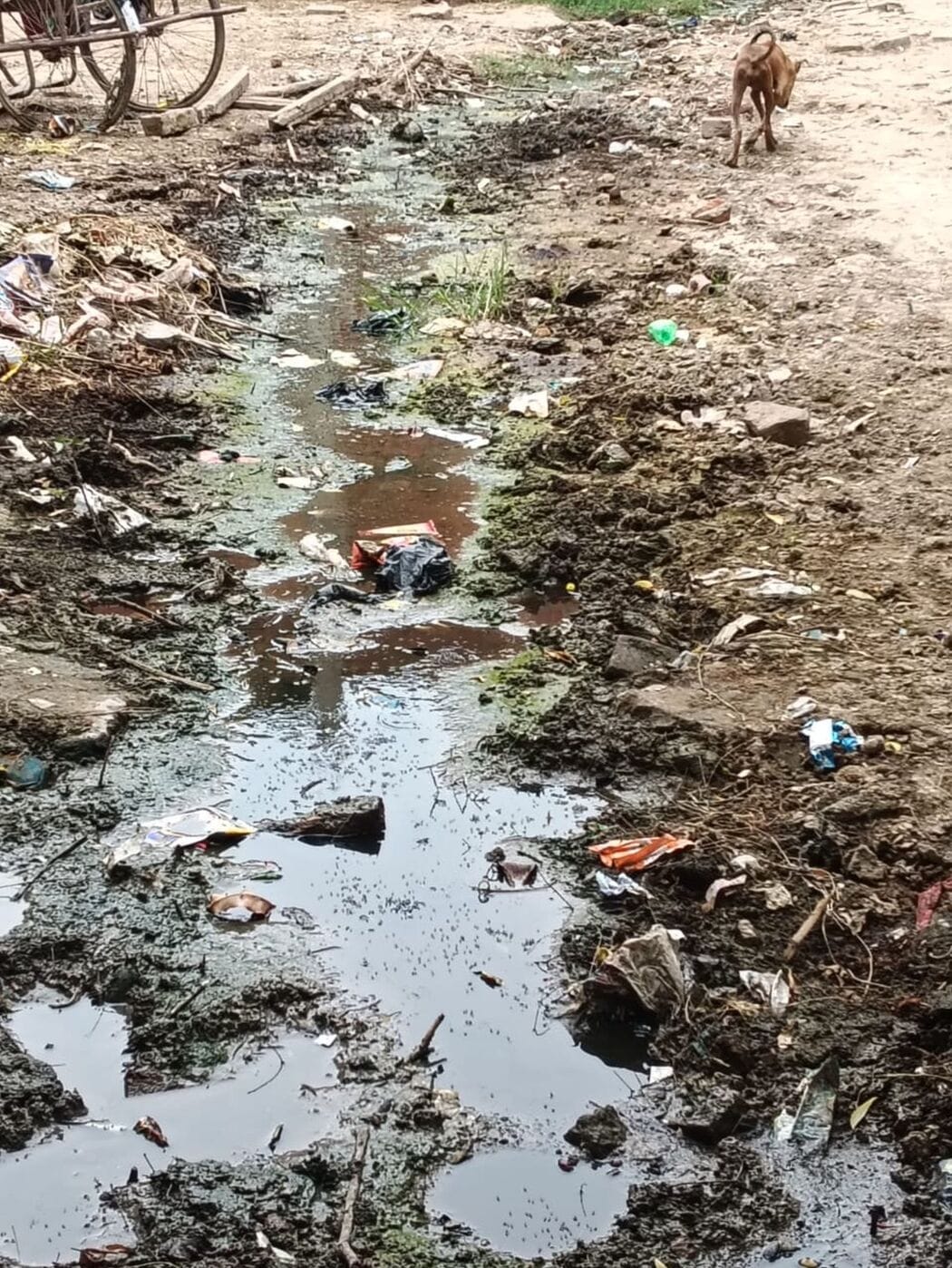 Waterlogging on main road causes increased trouble; authorities oblivious.