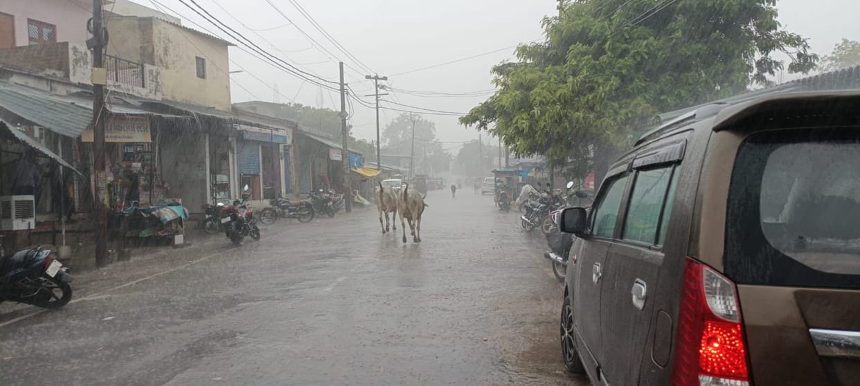 Drizzle three times during the day; humidity rose in the evening.