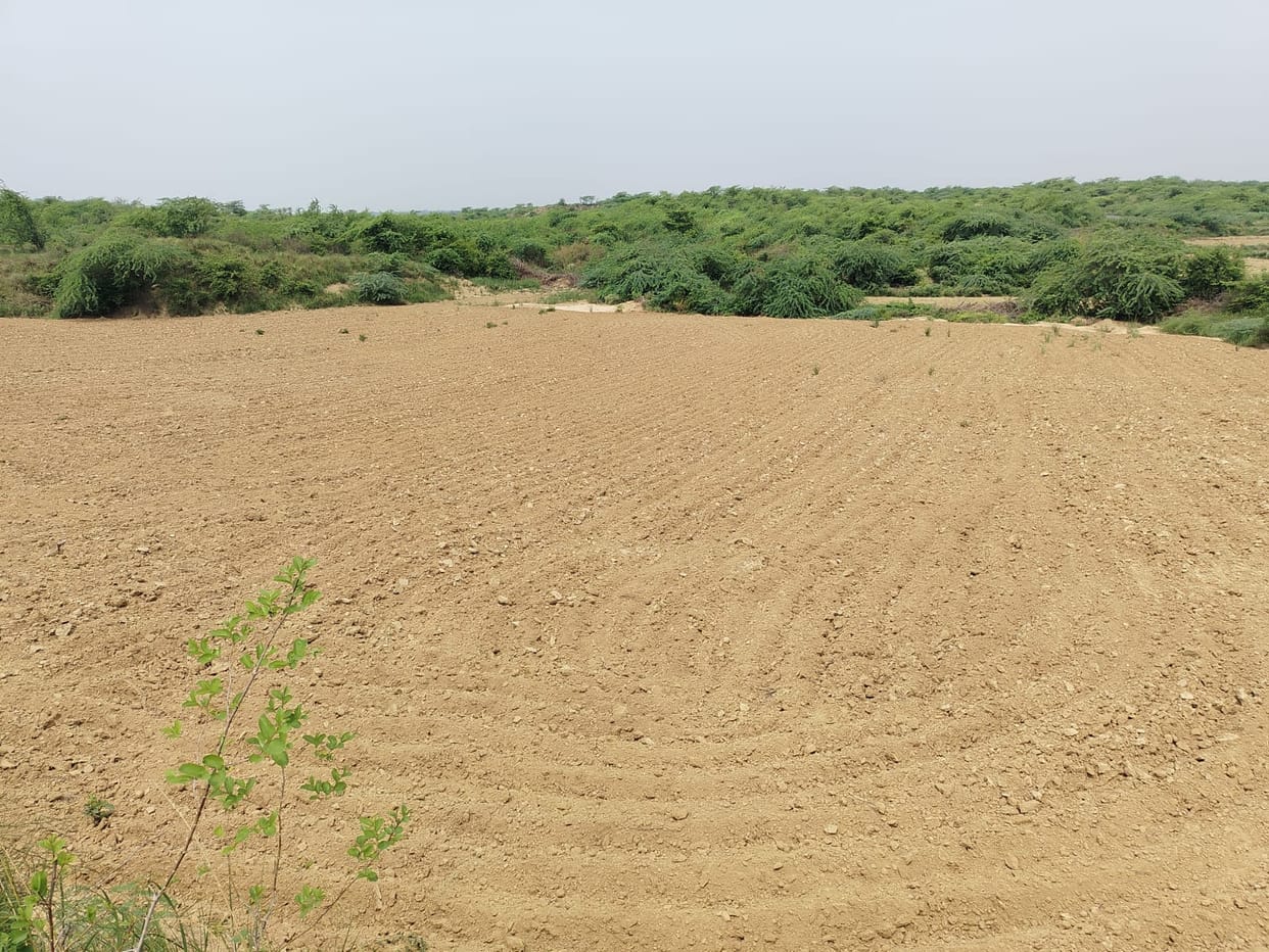 Fields drying up; sesame sowing in jeopardy.Fields drying up; sesame sowing in jeopardy.