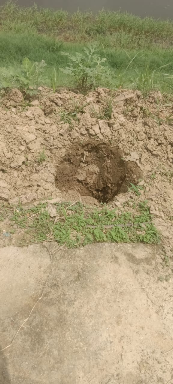The campaign for planting a tree in the name of mother at Amrit Sarovar failed.