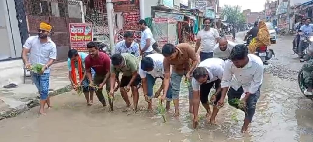 Traders protested by planting rice in the bad road