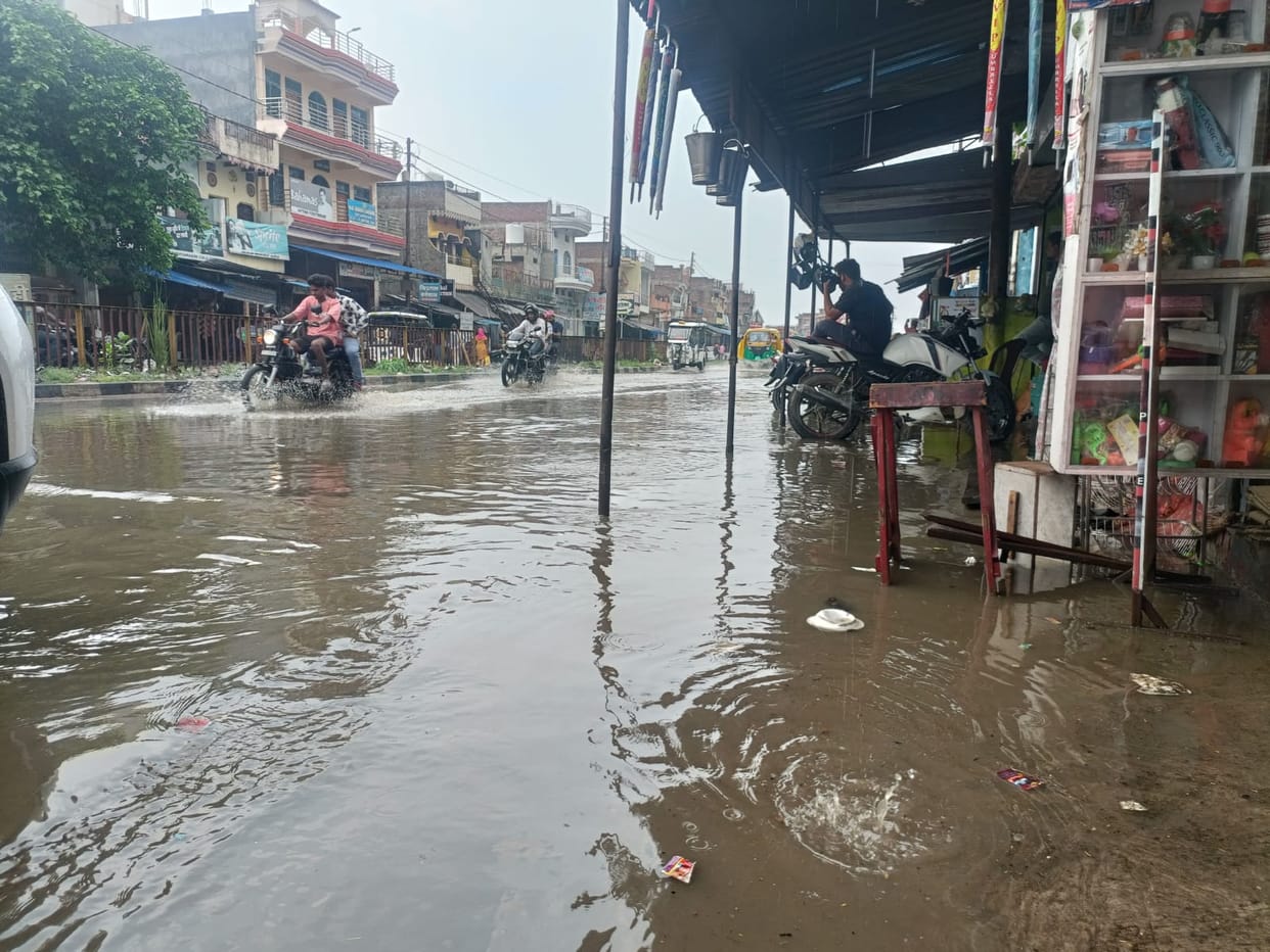 An hour-long spell of rain breathed new life into the paddy crop