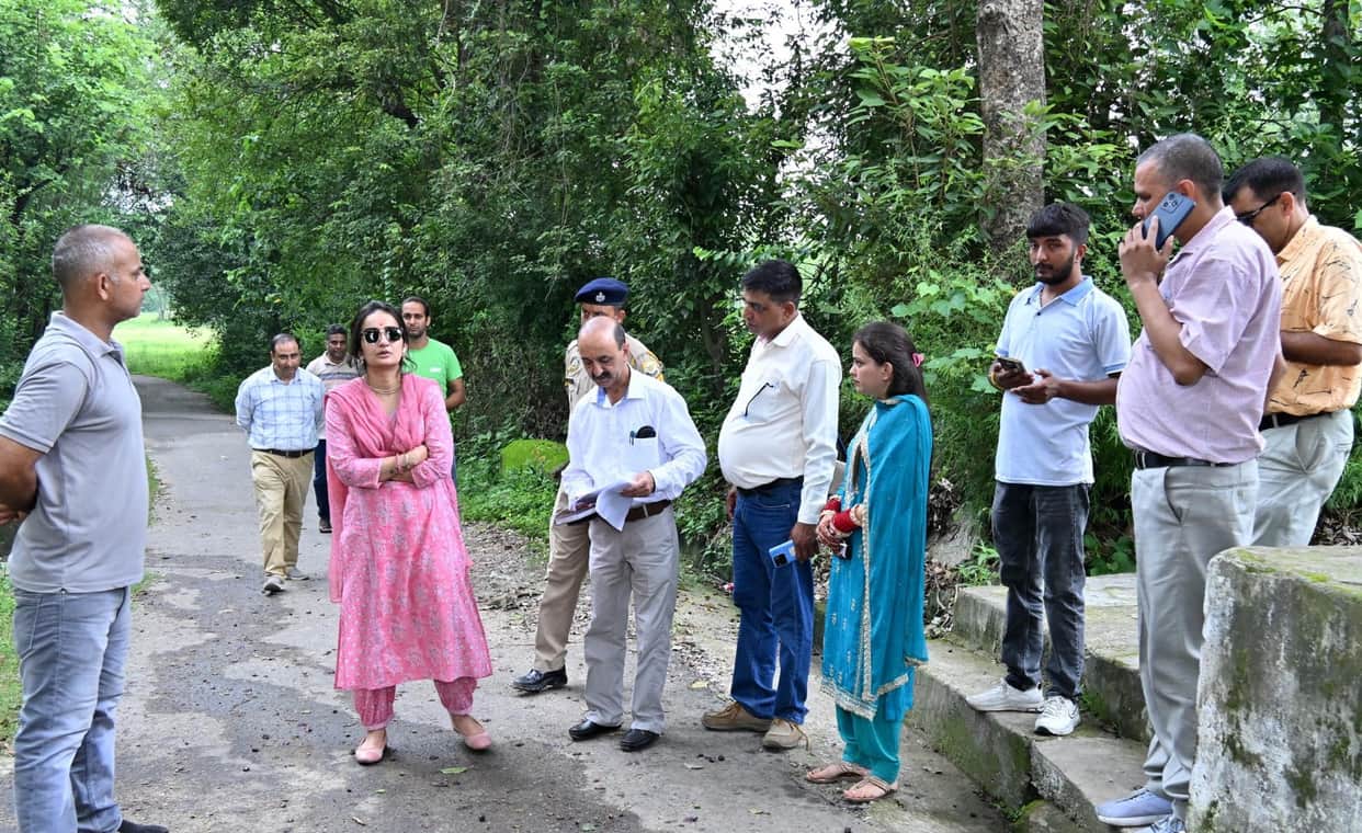 DC inspected development works in several panchayats of Nadaun.