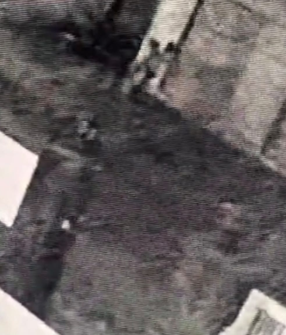 Amidst a quarrel between children, an innocent person was hit by a bicycle and then slammed onto the ground in the street.