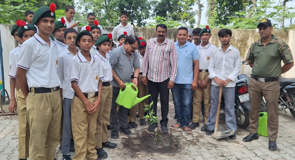 NCC cadet planted saplings