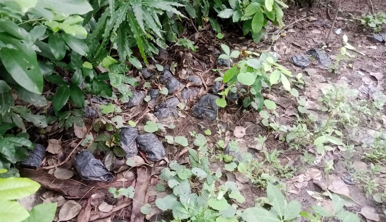 A record of 92.08 lakh saplings planted, 150 plants did not even get land