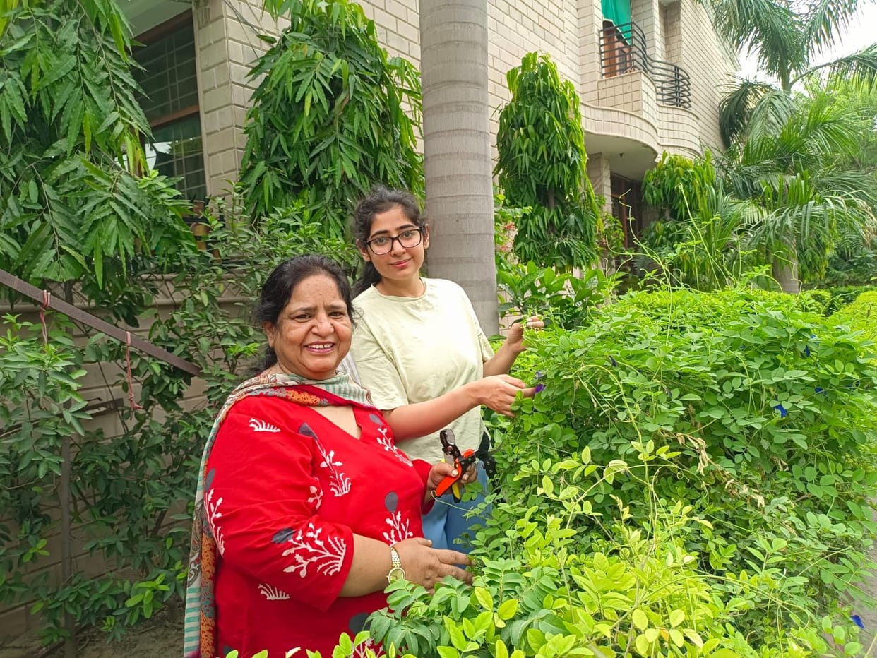 Veena's garden is a vibrant world of nature, science, and creativity.
