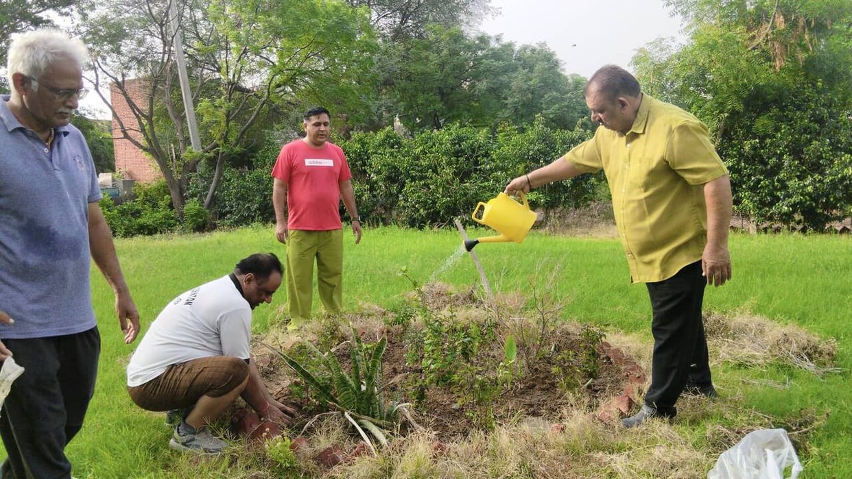 The club planted 51 Tulsi plants in the school.