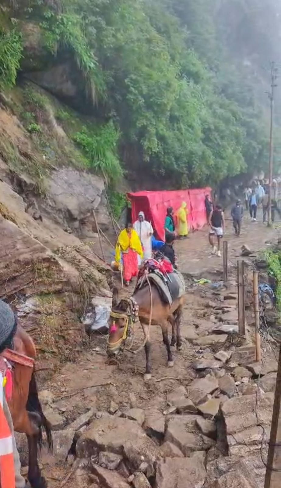 Kedarnath trekking route restored near Chirbasa.