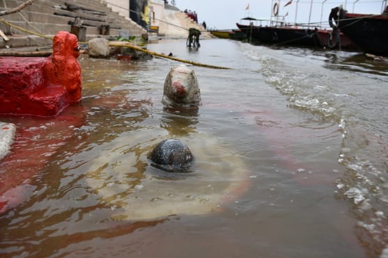 Ganga water level rises by cm in ours; Aarti site at Sheetla Ghat submerged.