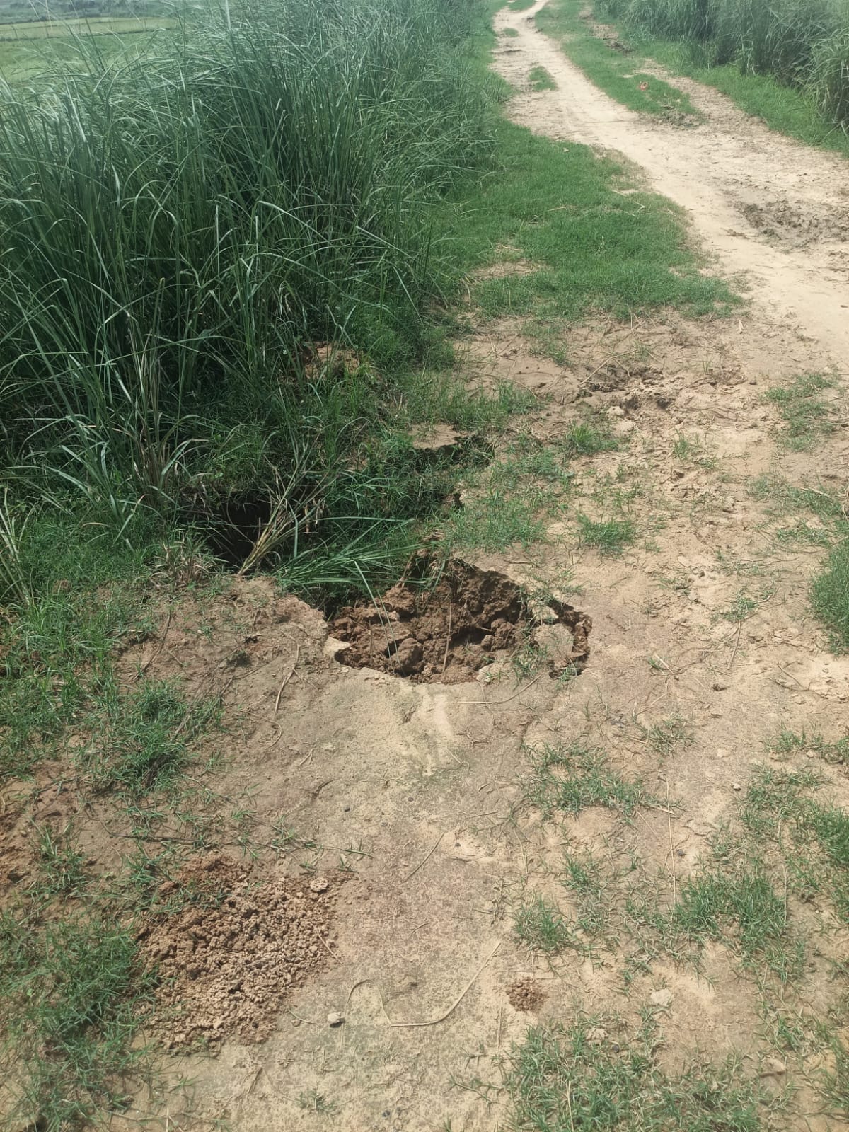 Trimuhani embankment riddled with rain cuts and rat-holes; residents fearful of flood threat.