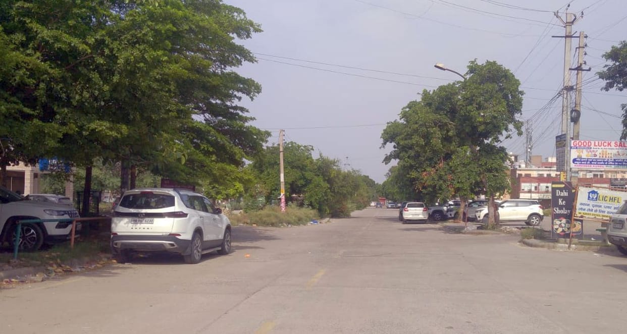 Western winds blew since morning, bringing relief from the humid heat... Monsoon will be active from July 20