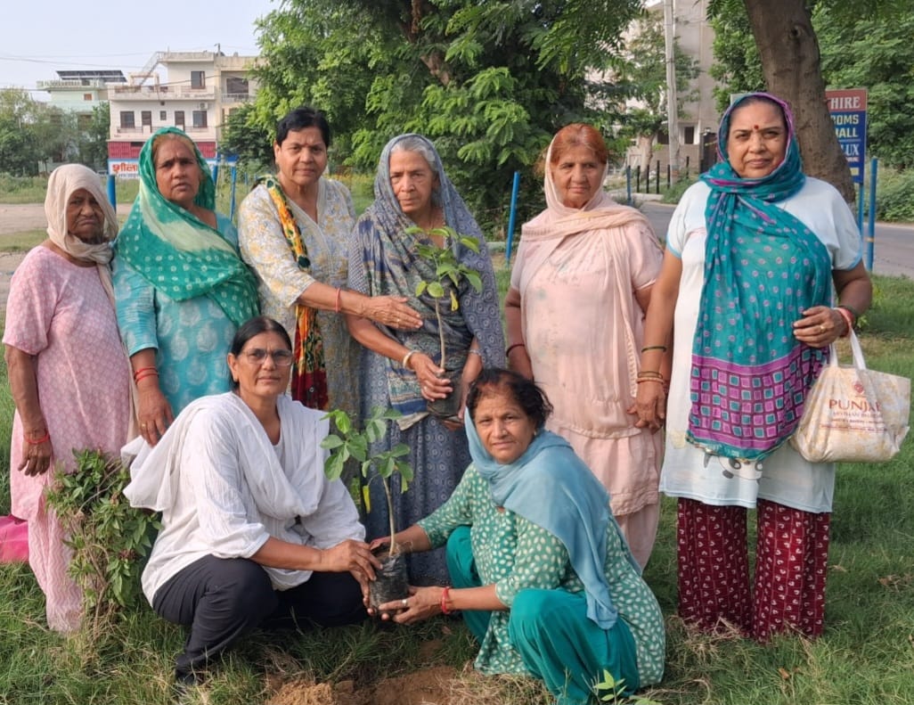 Conveyed a message of yoga and environmental conservation.