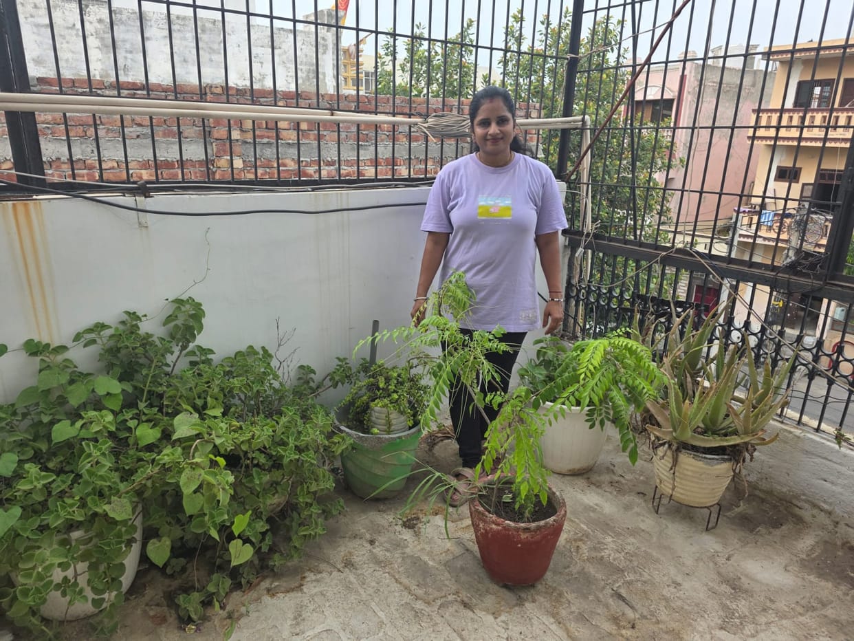 A message of greenery in the concrete jungle: A medicinal garden blooms on Poonam's terrace.