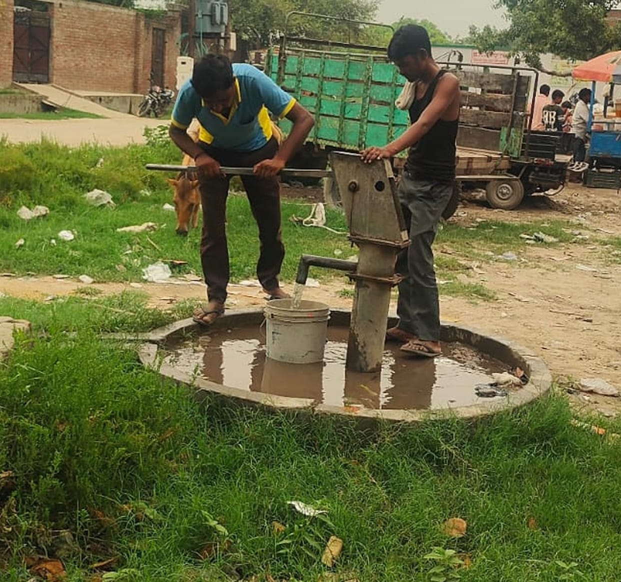 Hepatitis testing was not conducted even after the deaths of two brothers.