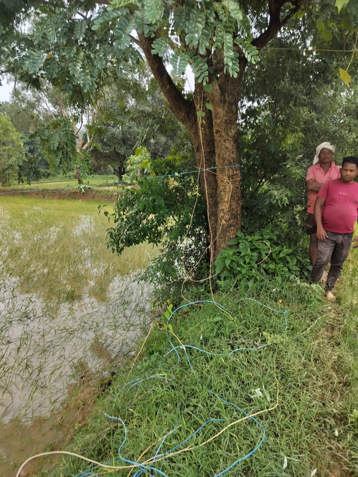 Illegal electricity hooking proves fatal farmer dies of electrocution while irrigating fields in Ambikapur