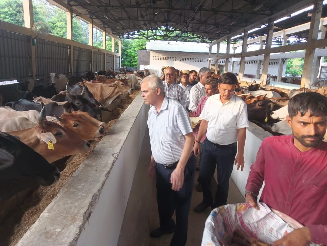 Kanha Upvan will become a center for learning Indian culture alongside cow conservation.