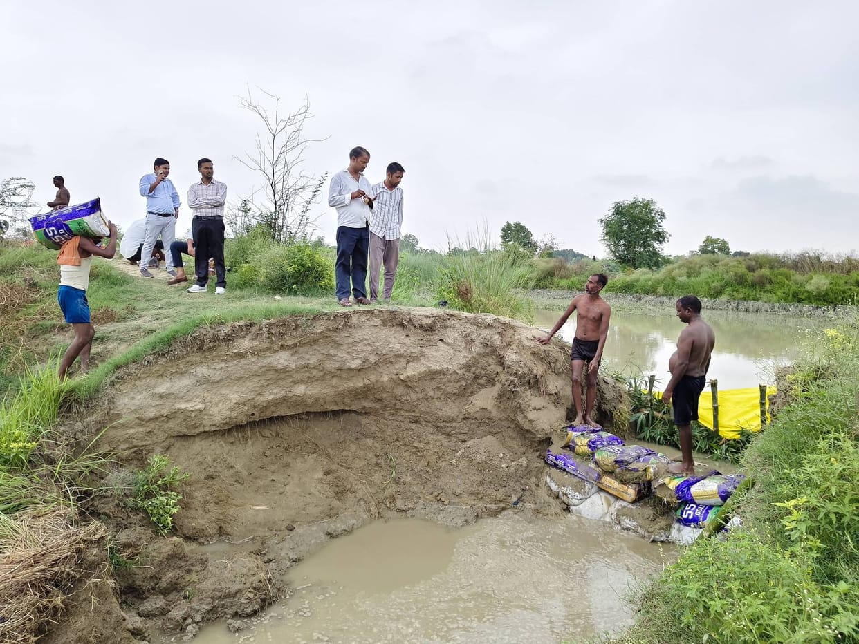 Paddy crop submerged due to breakage of Sharda Sahayak Canal