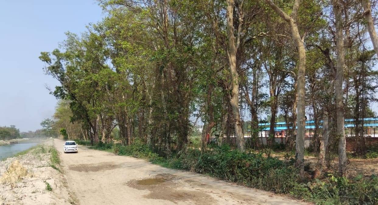 Eastern Gang Canal track road in bad condition