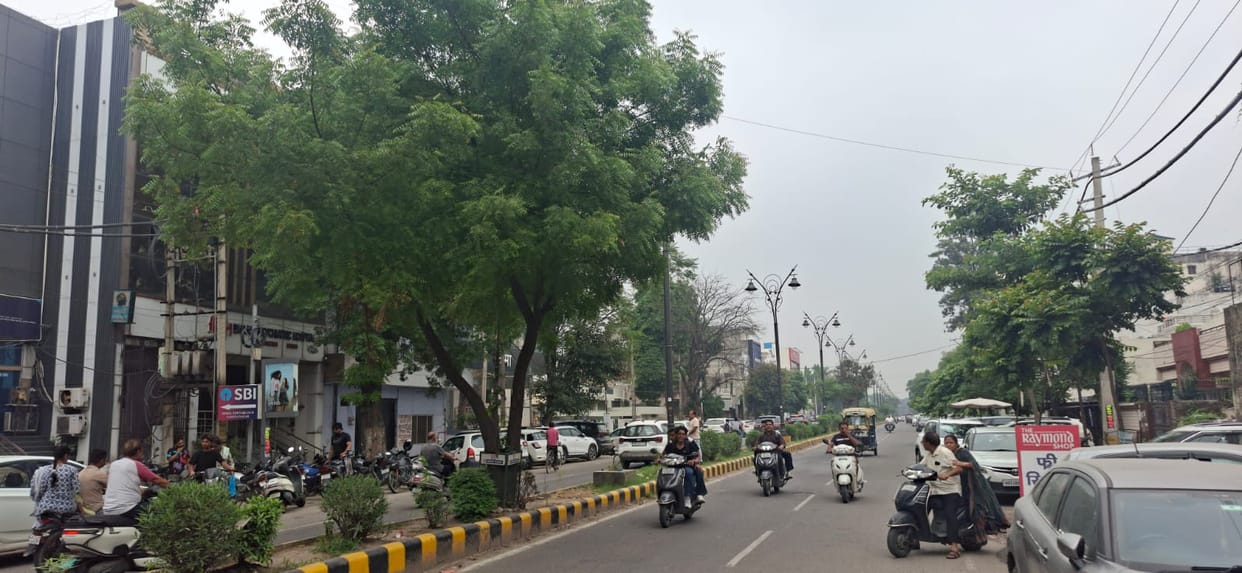 Rain is expected for five days starting today