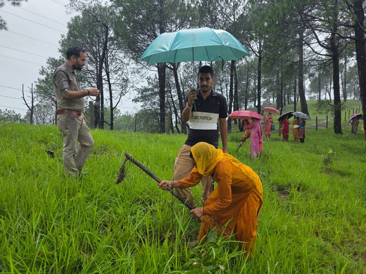 महिला प्रधान पेशों में वेतन अब भी कम, सामाजिक सोच बड़ी वजह