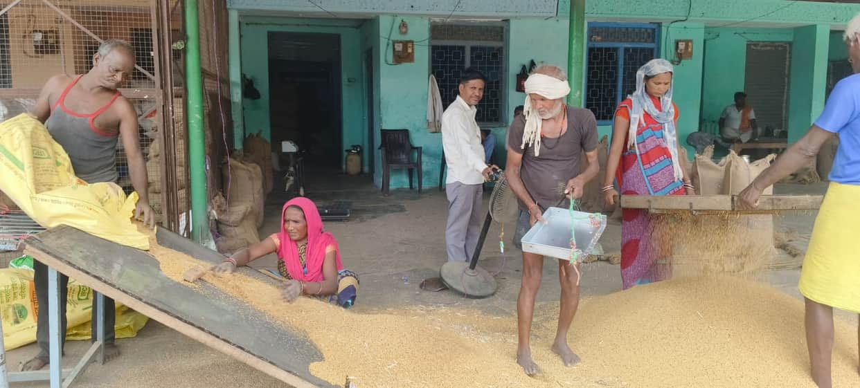 Vegetable and grain trading begins at the mandi; life returns to normal.