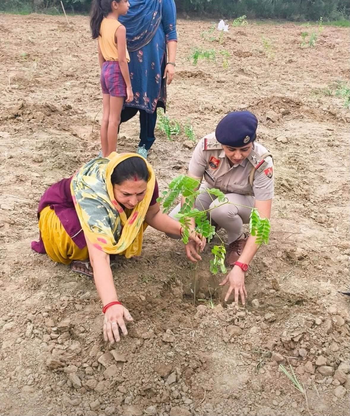 saplings planted in Miyawaki mini-forest