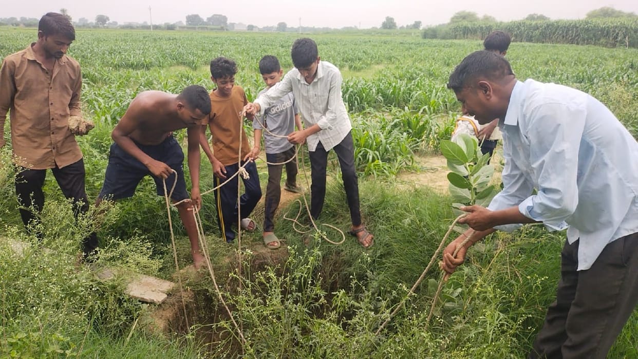 Villagers rescue two dogs trapped in a well for two days