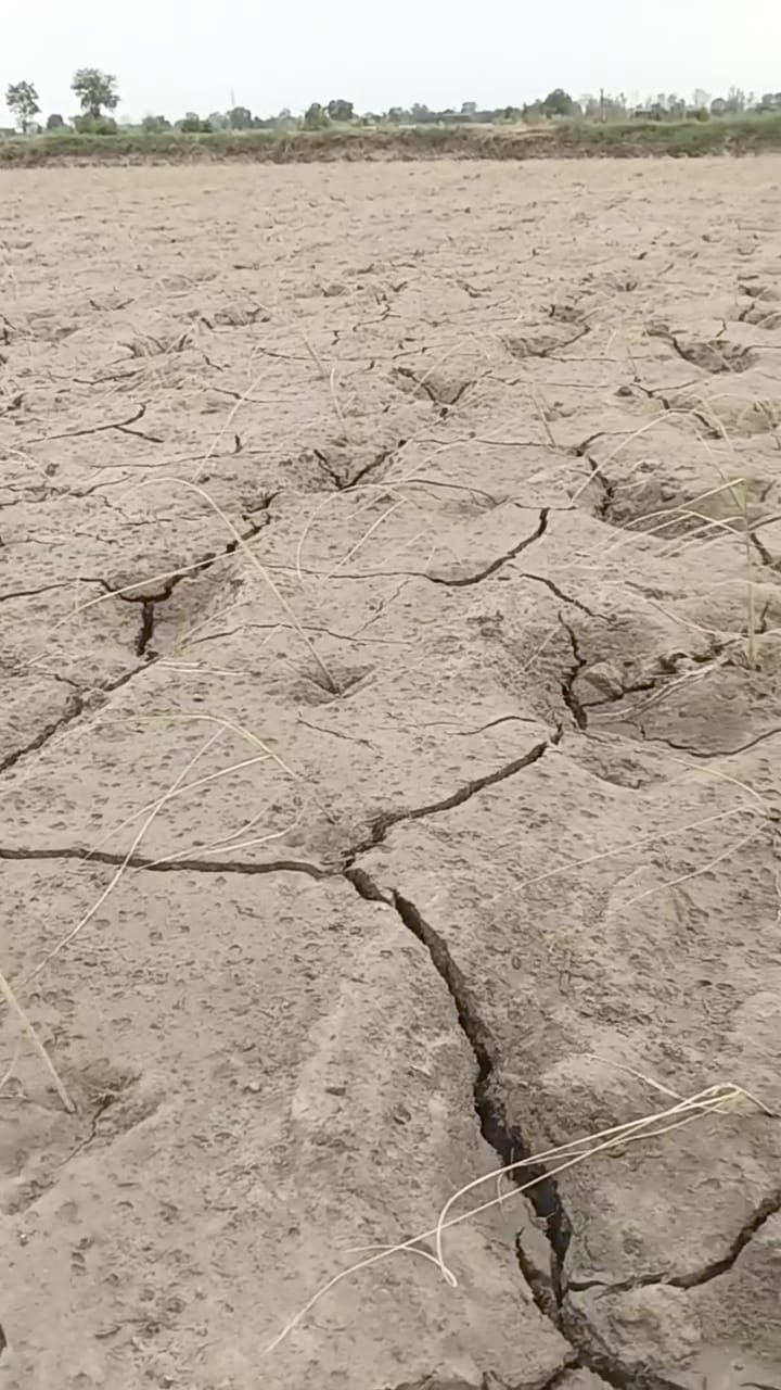 Humidity made people miserable, drizzle in Ratia-Bhuna