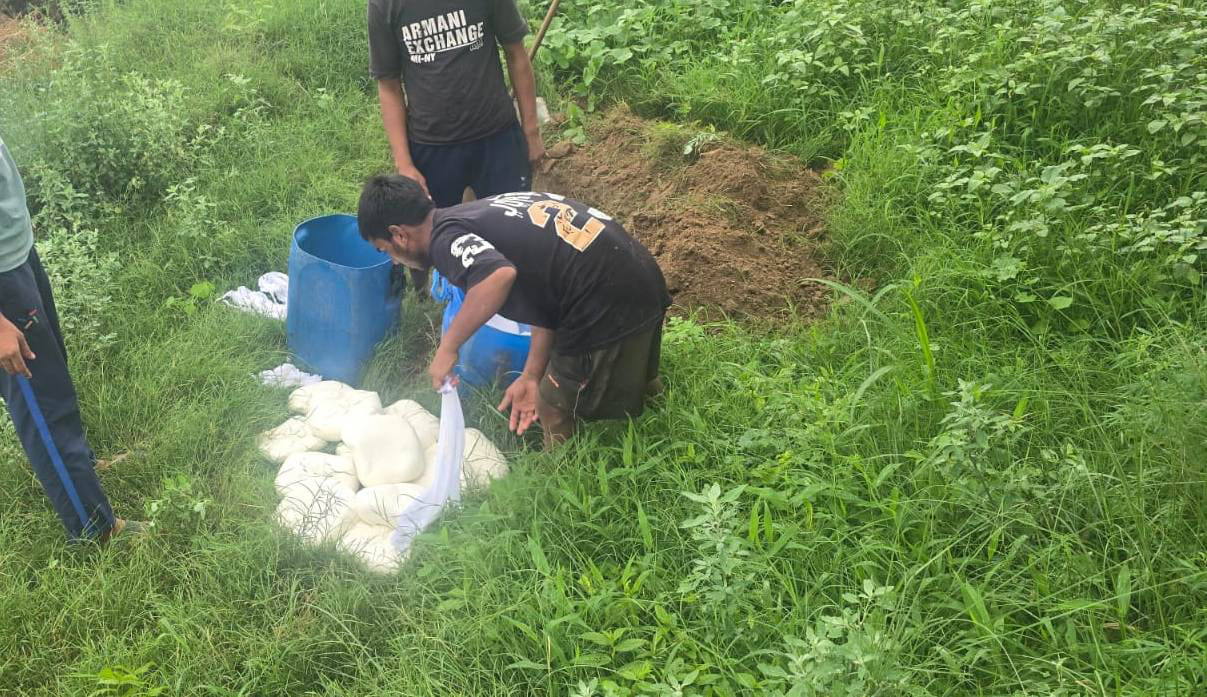 153 kg of contaminated paneer destroyed; samples of food items collected