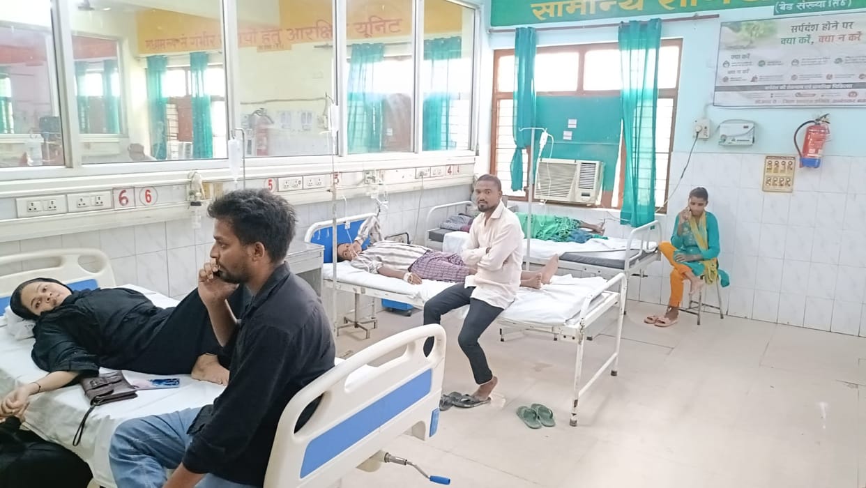 10 people were bitten by snakes and admitted to the district hospital