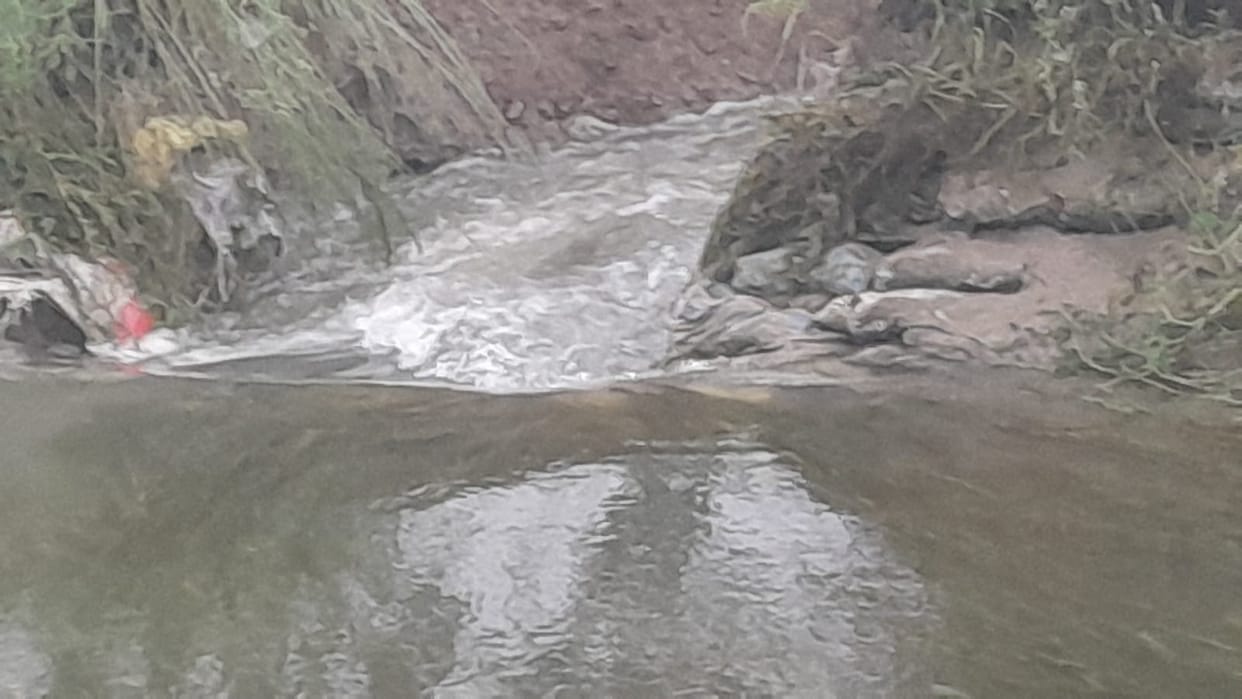 Crops submerged after canal breach in Mahuli