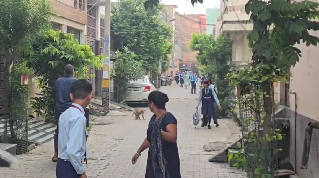 मोहल्ला कृष्णा नगर में छात्राओं पर हमला करते बंदर। स्रोत वीडियो ग्रैब